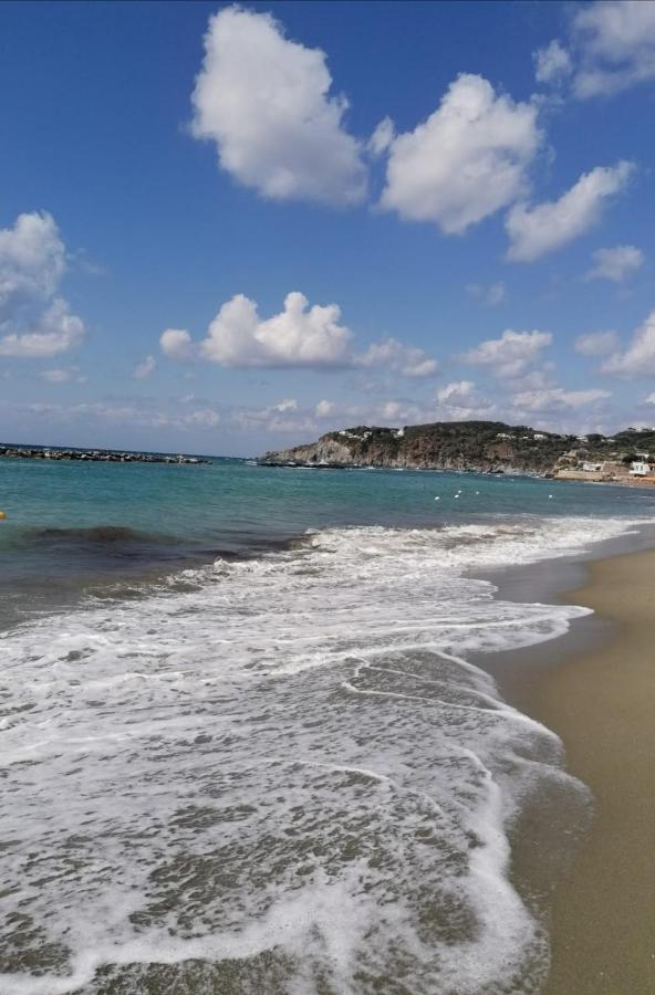 לינה וארוחת בוקר Forio di Ischia La Bicocca Di Annavi מראה חיצוני תמונה