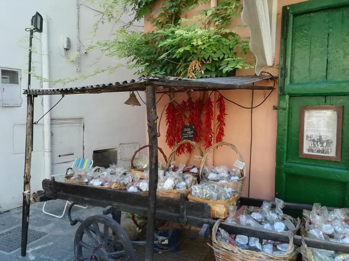 לינה וארוחת בוקר Forio di Ischia La Bicocca Di Annavi מראה חיצוני תמונה