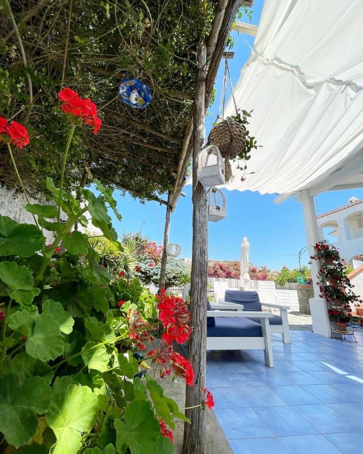 לינה וארוחת בוקר Forio di Ischia La Bicocca Di Annavi מראה חיצוני תמונה